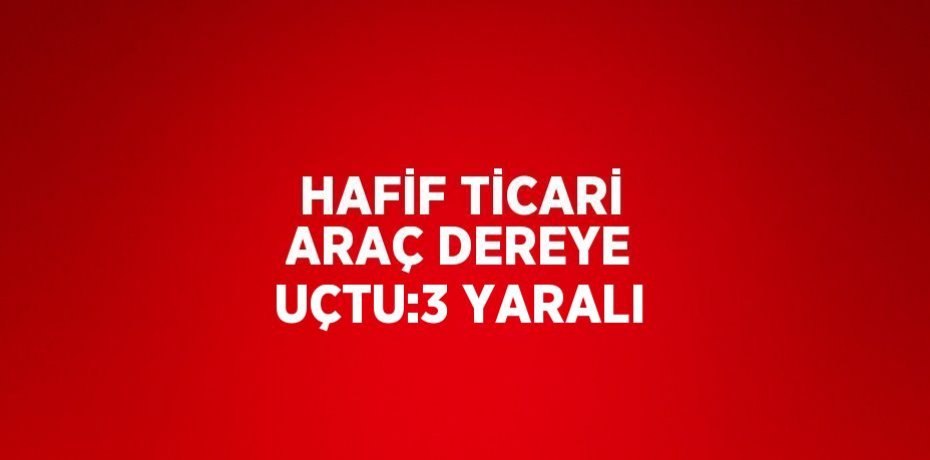 HAFİF TİCARİ ARAÇ DEREYE UÇTU:3 YARALI