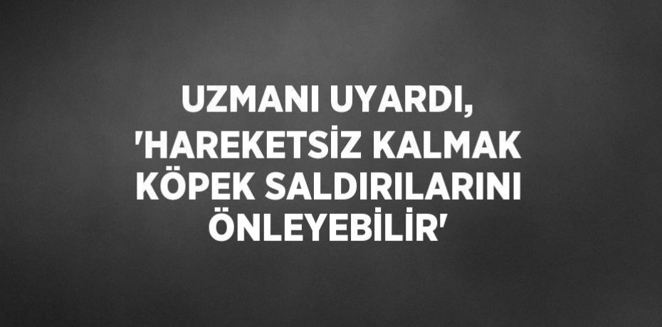 UZMANI UYARDI, 'HAREKETSİZ KALMAK KÖPEK SALDIRILARINI ÖNLEYEBİLİR'