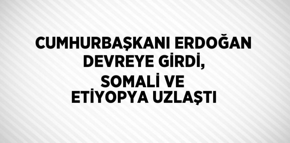 CUMHURBAŞKANI ERDOĞAN DEVREYE GİRDİ, SOMALİ VE ETİYOPYA UZLAŞTI