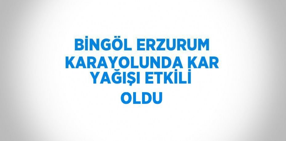 BİNGÖL ERZURUM KARAYOLUNDA KAR YAĞIŞI ETKİLİ OLDU