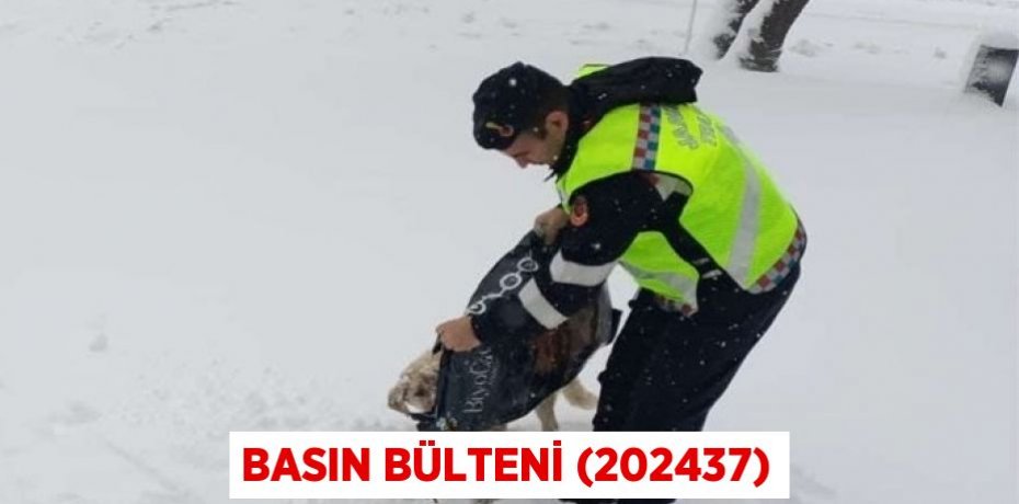 Basın Bülteni (202437)