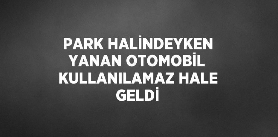 PARK HALİNDEYKEN YANAN OTOMOBİL KULLANILAMAZ HALE GELDİ