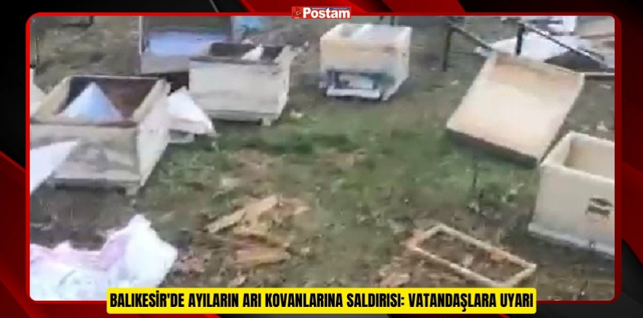 BALIKESİR'DE AYILARIN ARI KOVANLARINA SALDIRISI: VATANDAŞLARA UYARI