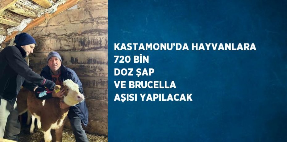 KASTAMONU’DA HAYVANLARA 720 BİN DOZ ŞAP VE BRUCELLA AŞISI YAPILACAK