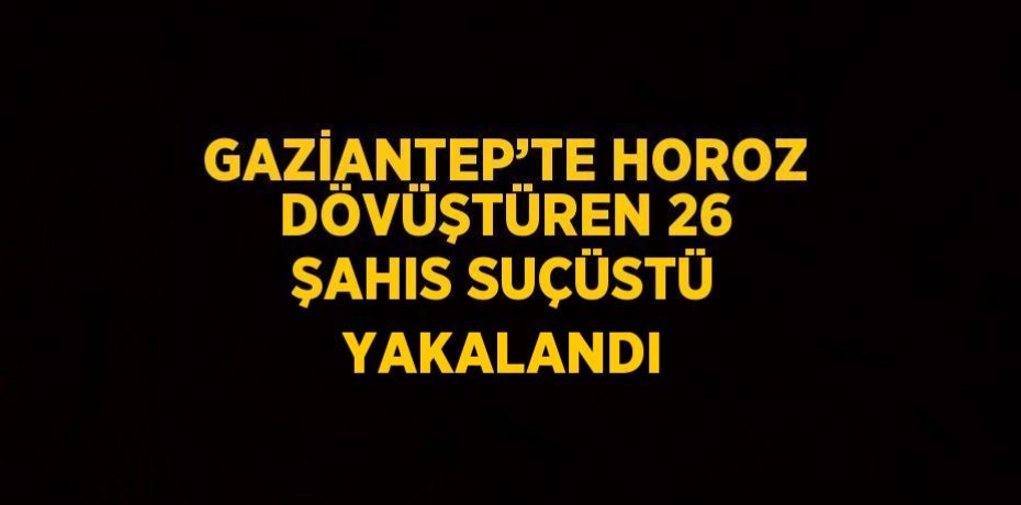 GAZİANTEP’TE HOROZ DÖVÜŞTÜREN 26 ŞAHIS SUÇÜSTÜ YAKALANDI