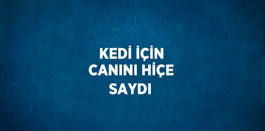 KEDİ İÇİN CANINI HİÇE SAYDI