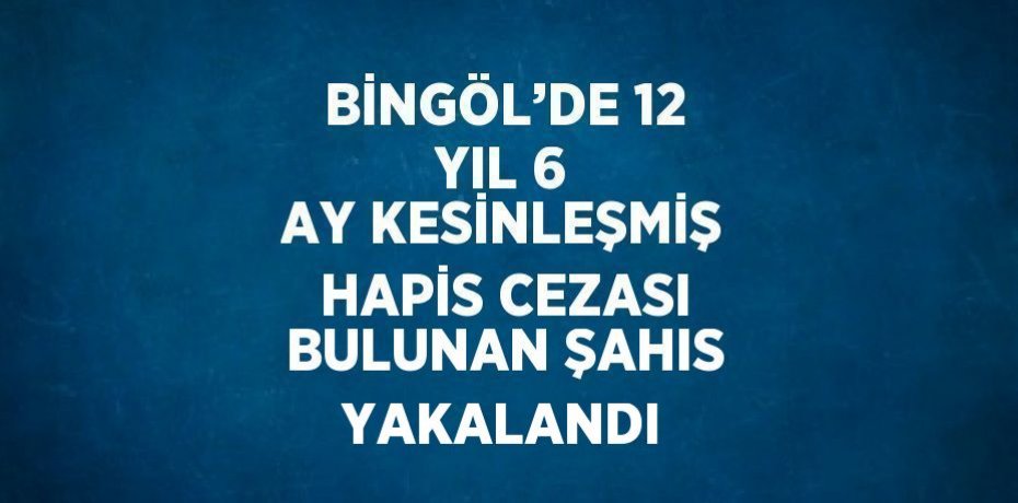 BİNGÖL’DE 12 YIL 6 AY KESİNLEŞMİŞ HAPİS CEZASI BULUNAN ŞAHIS YAKALANDI