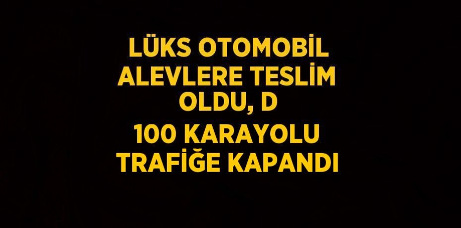 LÜKS OTOMOBİL ALEVLERE TESLİM OLDU, D 100 KARAYOLU TRAFİĞE KAPANDI