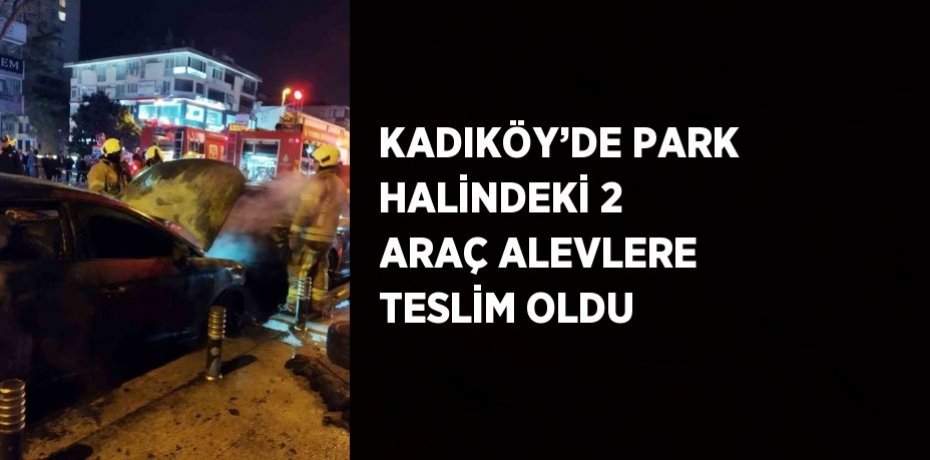 KADIKÖY’DE PARK HALİNDEKİ 2 ARAÇ ALEVLERE TESLİM OLDU