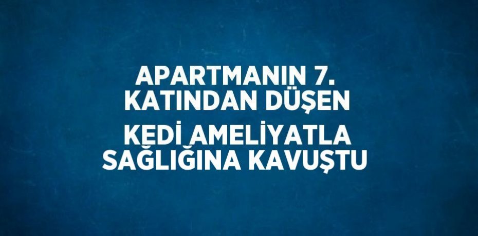 APARTMANIN 7. KATINDAN DÜŞEN KEDİ AMELİYATLA SAĞLIĞINA KAVUŞTU