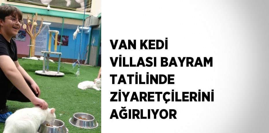 VAN KEDİ VİLLASI BAYRAM TATİLİNDE ZİYARETÇİLERİNİ AĞIRLIYOR