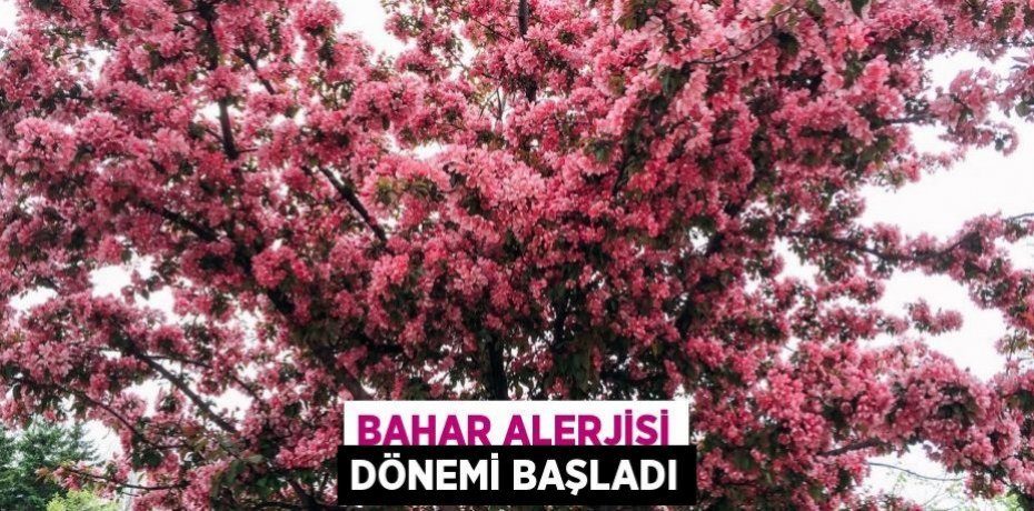 Bahar alerjisi dönemi başladı