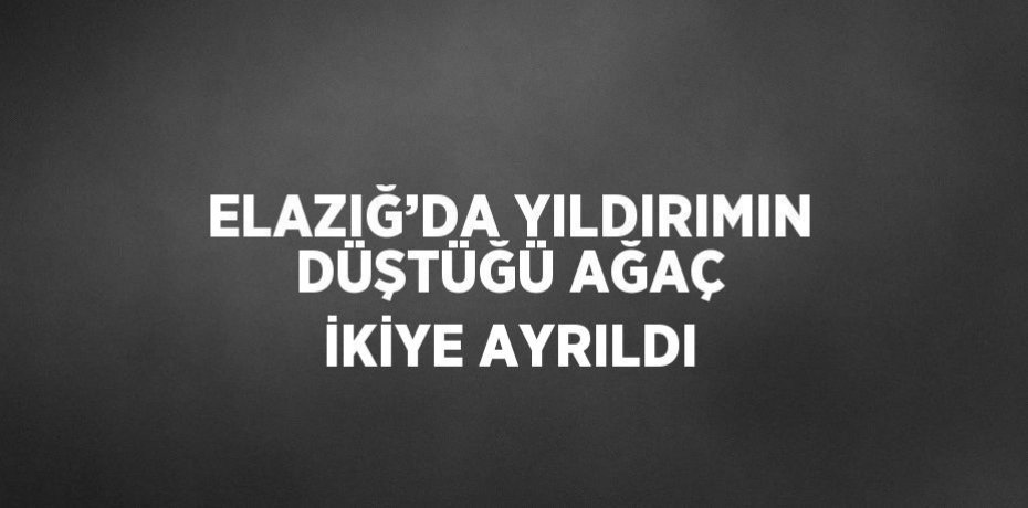 ELAZIĞ’DA YILDIRIMIN DÜŞTÜĞÜ AĞAÇ İKİYE AYRILDI