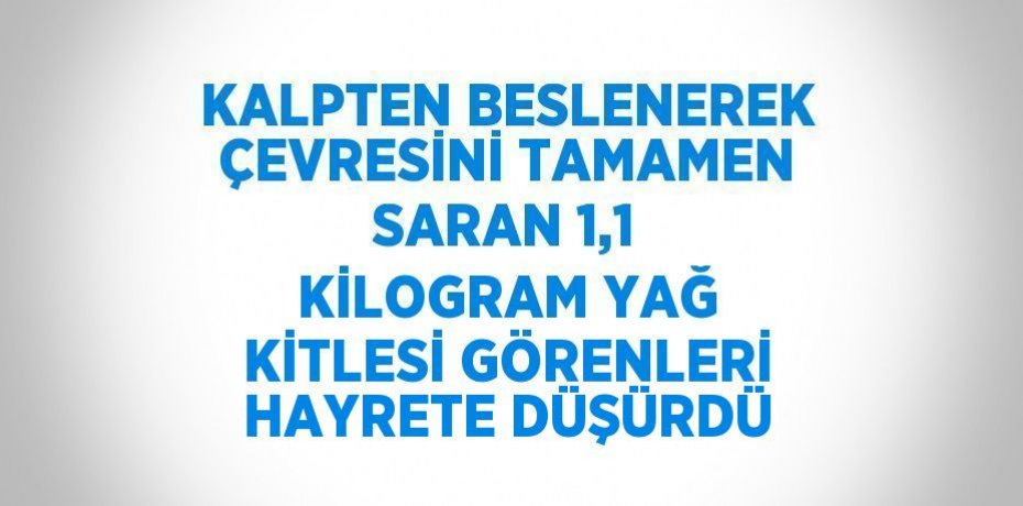 KALPTEN BESLENEREK ÇEVRESİNİ TAMAMEN SARAN 1,1 KİLOGRAM YAĞ KİTLESİ GÖRENLERİ HAYRETE DÜŞÜRDÜ