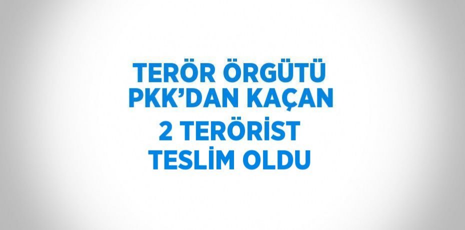TERÖR ÖRGÜTÜ PKK’DAN KAÇAN 2 TERÖRİST TESLİM OLDU