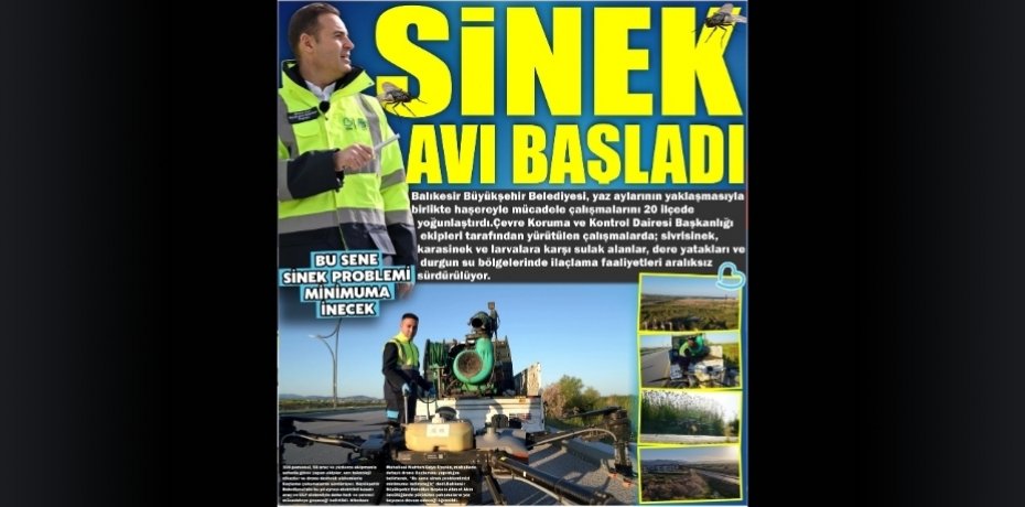 SİNEK AVI BAŞLADI