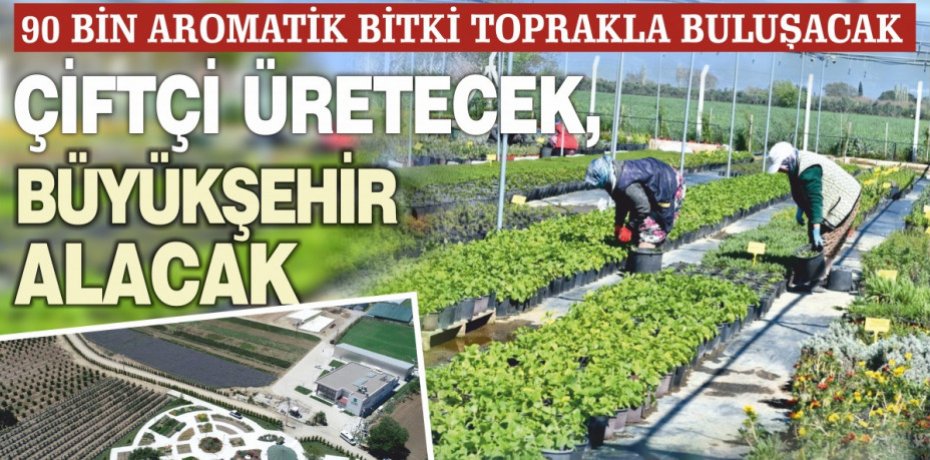 Çiftçi üretecek, Büyükşehir alacak