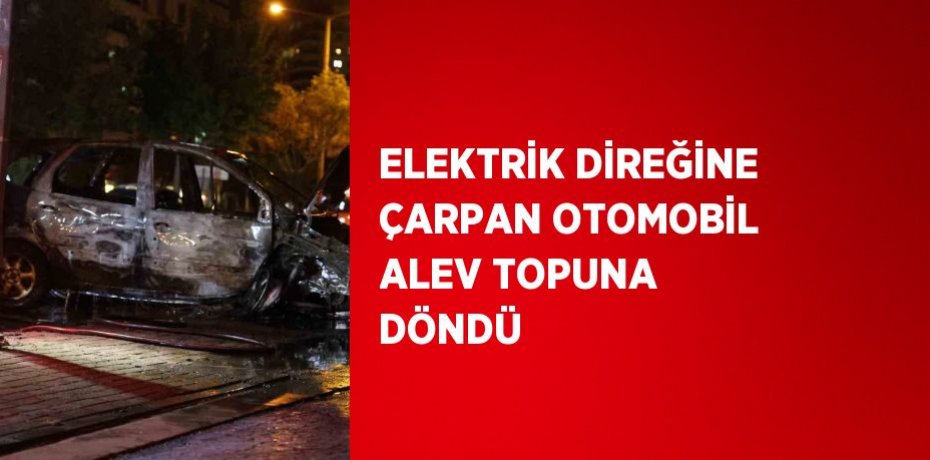 ELEKTRİK DİREĞİNE ÇARPAN OTOMOBİL ALEV TOPUNA DÖNDÜ