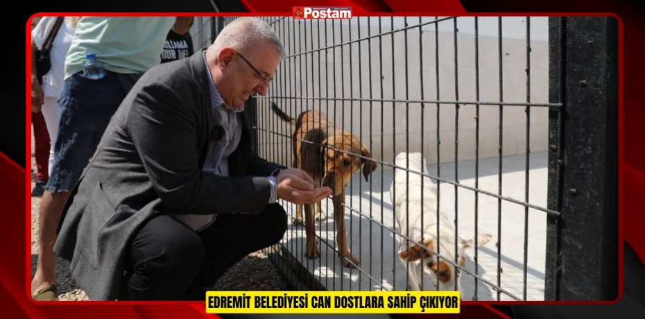 EDREMİT BELEDİYESİ CAN DOSTLARA SAHİP ÇIKIYOR