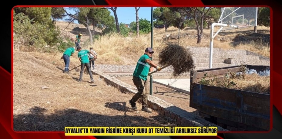 AYVALIK’TA YANGIN RİSKİNE KARŞI KURU OT TEMİZLİĞİ ARALIKSIZ SÜRÜYOR