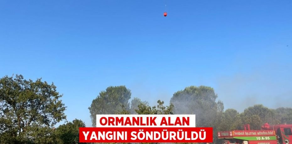 Ormanlık alan yangını söndürüldü