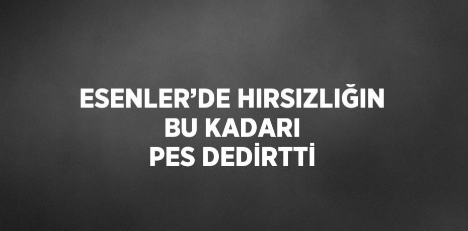 ESENLER’DE HIRSIZLIĞIN BU KADARI PES DEDİRTTİ