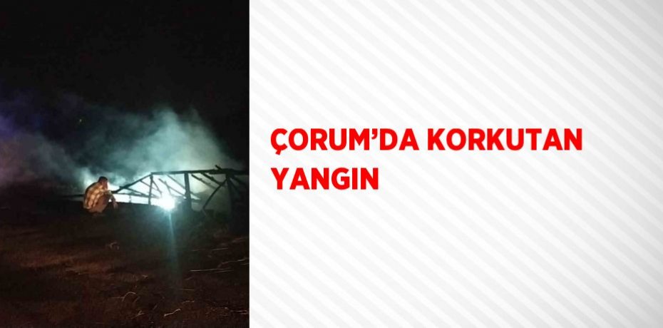 ÇORUM’DA KORKUTAN YANGIN