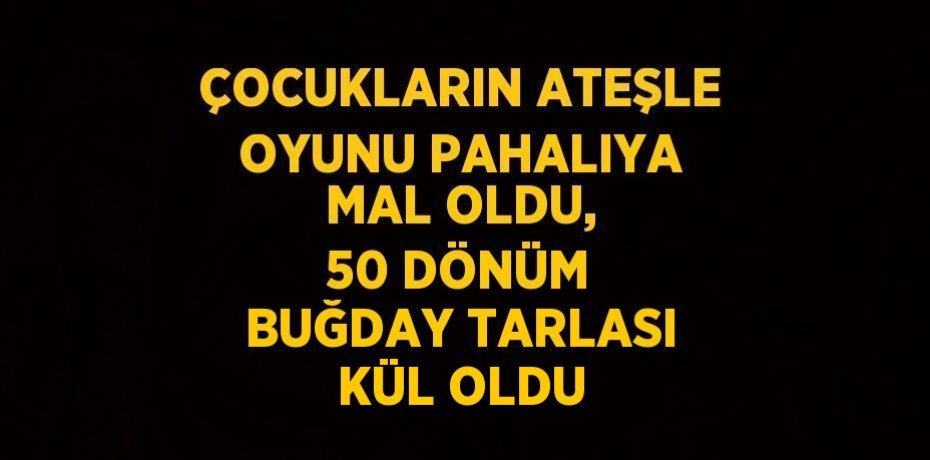 ÇOCUKLARIN ATEŞLE OYUNU PAHALIYA MAL OLDU, 50 DÖNÜM BUĞDAY TARLASI KÜL OLDU