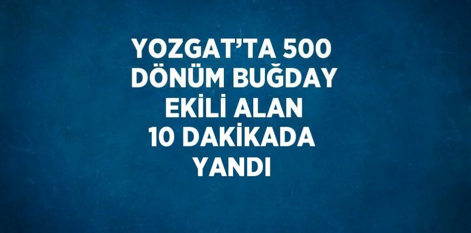 YOZGAT’TA 500 DÖNÜM BUĞDAY EKİLİ ALAN 10 DAKİKADA YANDI