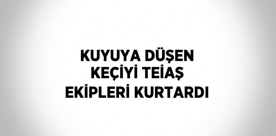 KUYUYA DÜŞEN KEÇİYİ TEİAŞ EKİPLERİ KURTARDI