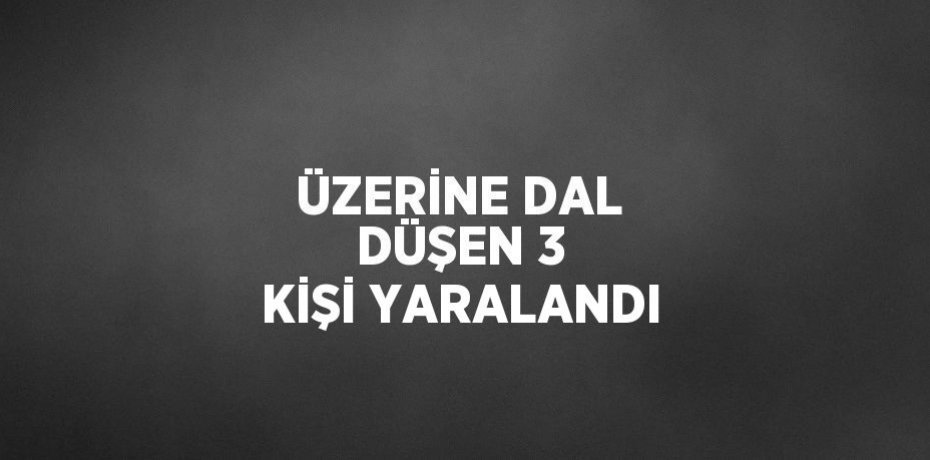 ÜZERİNE DAL DÜŞEN 3 KİŞİ YARALANDI