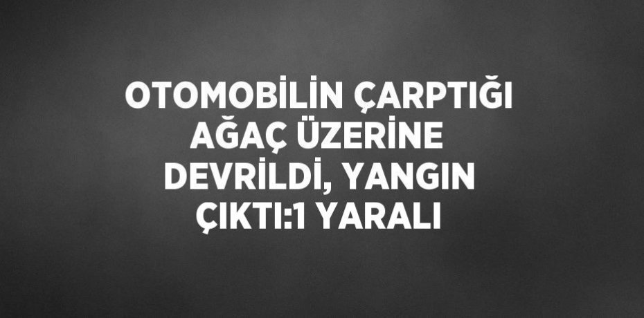 OTOMOBİLİN ÇARPTIĞI AĞAÇ ÜZERİNE DEVRİLDİ, YANGIN ÇIKTI:1 YARALI