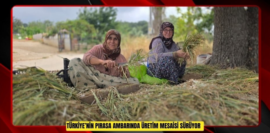 Türkiye’nin pırasa ambarında üretim mesaisi sürüyor  