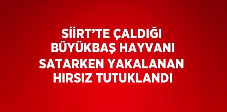 SİİRT’TE ÇALDIĞI BÜYÜKBAŞ HAYVANI SATARKEN YAKALANAN HIRSIZ TUTUKLANDI
