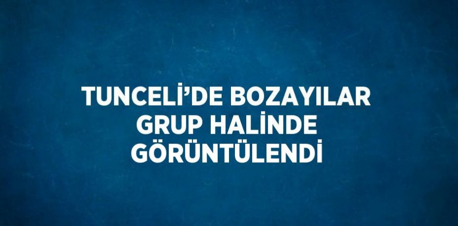 TUNCELİ’DE BOZAYILAR GRUP HALİNDE GÖRÜNTÜLENDİ