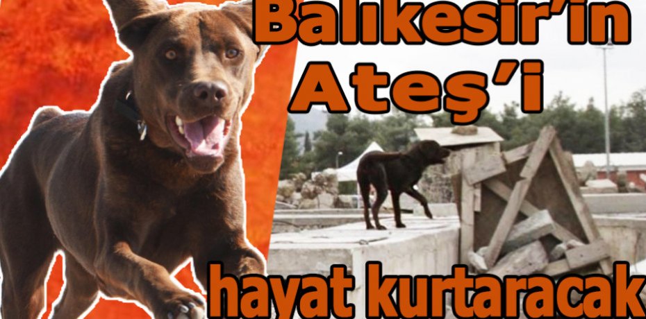 Balıkesir’in Ateş’i hayat kurtaracak
