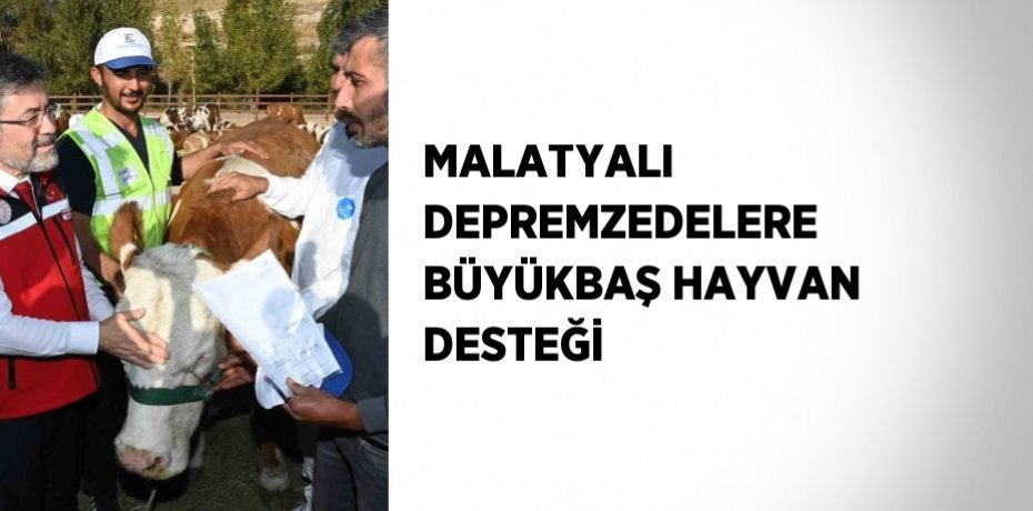MALATYALI DEPREMZEDELERE BÜYÜKBAŞ HAYVAN DESTEĞİ