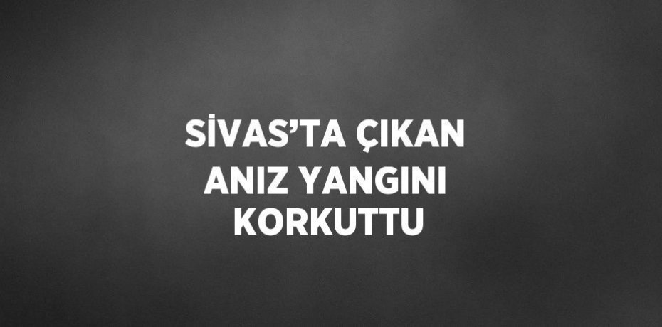 SİVAS’TA ÇIKAN ANIZ YANGINI KORKUTTU