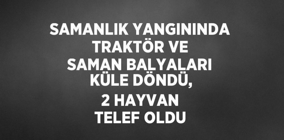 SAMANLIK YANGININDA TRAKTÖR VE SAMAN BALYALARI KÜLE DÖNDÜ, 2 HAYVAN TELEF OLDU