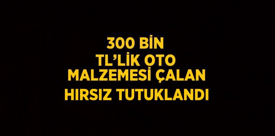 300 BİN TL’LİK OTO MALZEMESİ ÇALAN HIRSIZ TUTUKLANDI