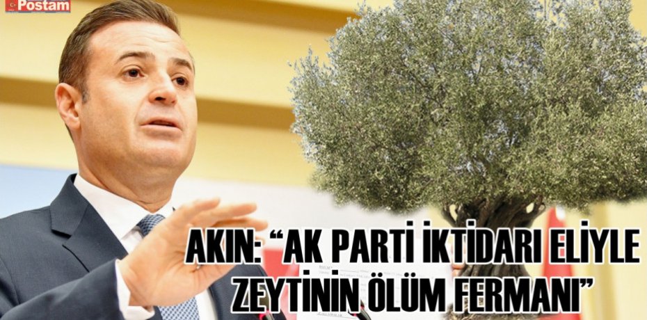 AKIN: AK PARTİ İKTİDARI ELİYLE ZEYTİNİN ÖLÜM FERMANI