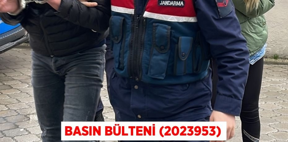 Basın Bülteni (2023953)