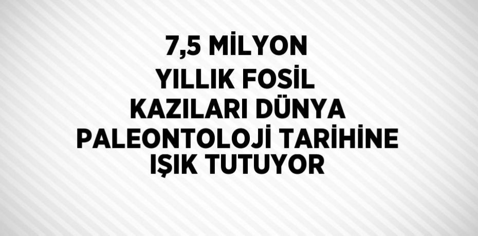 7,5 MİLYON YILLIK FOSİL KAZILARI DÜNYA PALEONTOLOJİ TARİHİNE IŞIK TUTUYOR