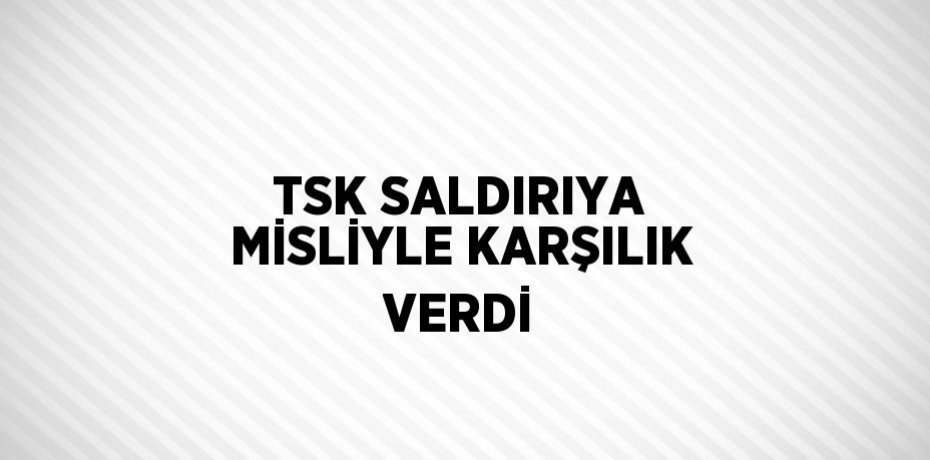 TSK SALDIRIYA MİSLİYLE KARŞILIK VERDİ