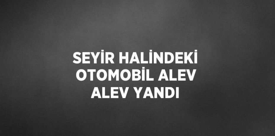 SEYİR HALİNDEKİ OTOMOBİL ALEV ALEV YANDI
