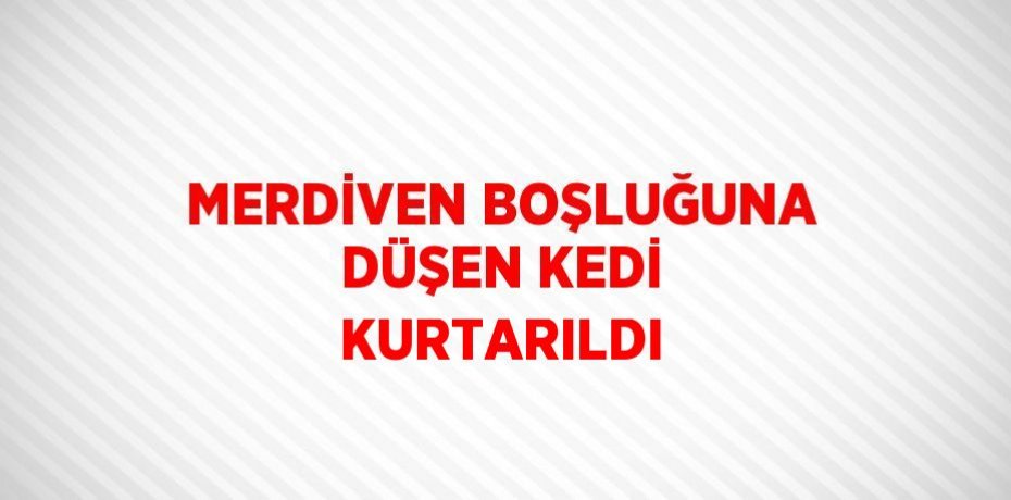 MERDİVEN BOŞLUĞUNA DÜŞEN KEDİ KURTARILDI