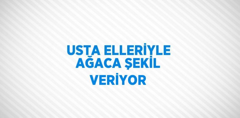 USTA ELLERİYLE AĞACA ŞEKİL VERİYOR
