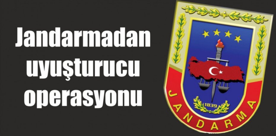 Jandarmadan uyuşturucu operasyonu