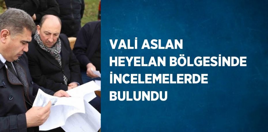 VALİ ASLAN HEYELAN BÖLGESİNDE İNCELEMELERDE BULUNDU