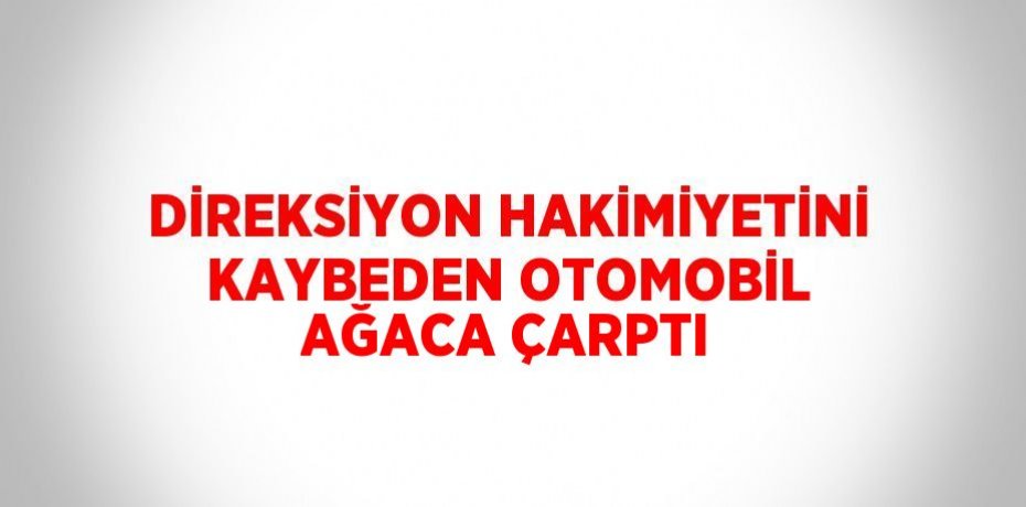 DİREKSİYON HAKİMİYETİNİ KAYBEDEN OTOMOBİL AĞACA ÇARPTI